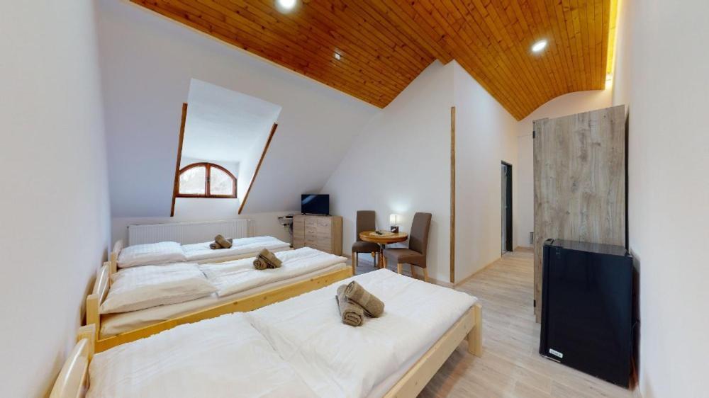 Na Starem Meste Homestay Volary