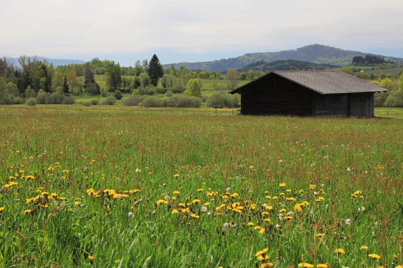 Homestay Na Starem Meste
